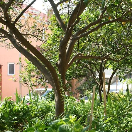 Apartment Podgora 518B 外观 照片